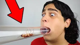 QUEM ASSOPRAR A BARATA MAIS FORTE, VENCE!! *APAVORANTE