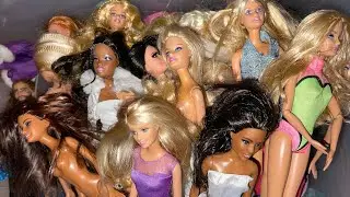 Sort Out My Barbie Collection With Me: Doll Collector Chit Chat!