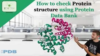 How to check PROTEIN STRUCTURE using PDB #protein #bioinformatics #PDB #structure #proteinstructure