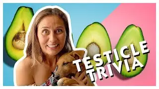 Testicle Trivia