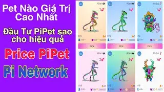Hướng dẫn đầu tư game pipet hiệu quả p1 - giá trị từng loại pet | How to play pipet game Pi Network