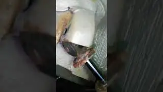 шевроле нива не вылазит болт амортизатора