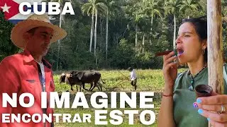 Día 4:  CAMPESINOS EN CUBA [TABACO Y RON]
