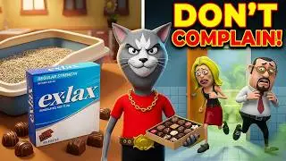 WHY YOU DON'T COMPLAIN ABOUT A CAT'S LITTER BOX!