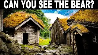 NO ONE CAN FIND ALL THE HIDDEN ANIMALS!!3 | FIND THE HIDDEN ANIMALS |100% FAIL | PUZZLE | BRAIN TEST