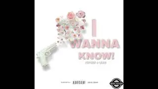 I Wanna Know - PeppBoy & Lexio