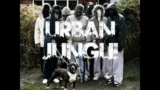 Shot - Urban Jungle (Video Version)