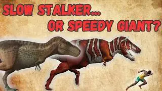 How Fast Was Tyrannosaurus rex? Tyrannosaurus Speed Explained
