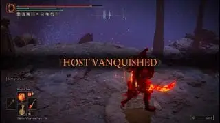 Full Bull Goat Light Roll Pyromancer Invasions Patch 1.08