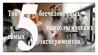 Топ 5 самых бесчеловечных психологических экспериментов