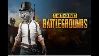 Intelligent Cat Speaks - Player Unknowns Battlegrounds Gameplay
