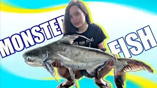 Lomba Mancing di Big Fish Strike Saung Desa Bekasi