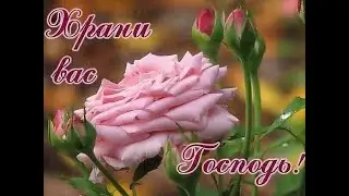 ГРАНДИОЗНЫЙ РОЛИК В ЧЕСТЬ  ̶2̶0̶0̶   ̶3̶0̶0̶   ̶4̶0̶0̶  500 ПОДПИСЧИКОВ НА КАНАЛЕ!
