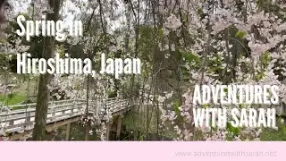 Adventures in Japan: Cherry Blossoms in Hiroshima