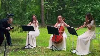 Кукла колдуна (Король и Шут) - струнное трио