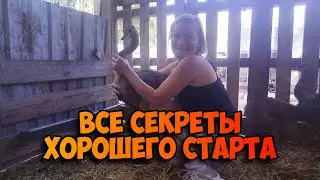ЮЖНО-АФРИКАНСКИЙ СТРАУС / КОРМЛЕНИЕ, СОДЕРЖАНИЕ