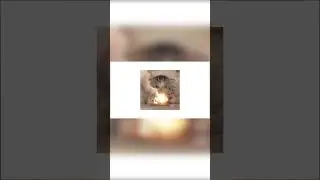 345 причин никогда не играть в геншин...