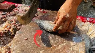 WORLD SMALLEST KATLA FISH CUTTING SKILLS EXPERT CUTTING SKILL 😱   Cutting Skills Master.