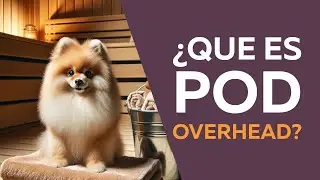 ¿Que es pod overhead?