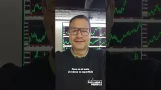 Reporte del  🌽 Maíz ACTUAL  #noticias #TendenciasPecuariasVIMIFOS