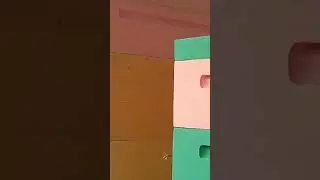 Муравьи воруют у пчёл.