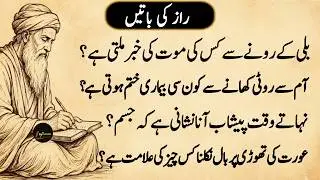 Life Changing Quotes Urdu | Motivational Quotes For Success | Golden Words About Life