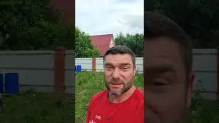 Когда корневую шейку можно поднимать! #shorts #сад #garden #дача