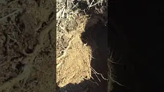МЕГА НАХОДКА 🔥.