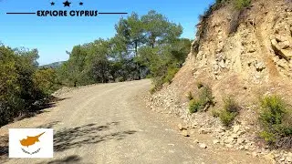 Rocky mountain Pine Forest road in the Troodos Mountains in CYPRUS * 4K (60FPS)