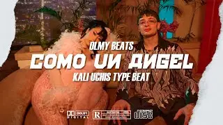 KALI UCHIS TYPE BEAT 