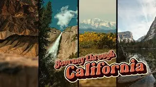 Nature In California | Sony A7S3