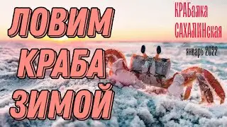 КРАБалка. САХАЛИНская. Ловля краба зимой.  2022г.