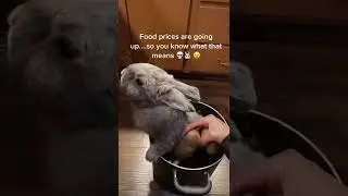 Inflation! I’m so sorry 🥲 rabbit stew 🐰