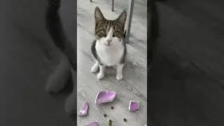 ЧТО СКРЫВАЕТ МЯТА?!😱