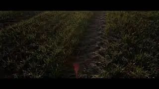 Spring Awakening - 4K Cinematic Video