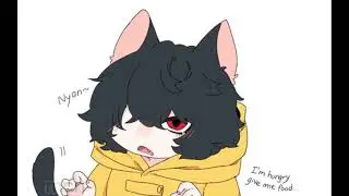 Aah :0 gata six cat