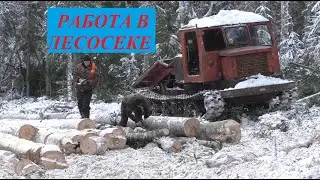 Работа в лесосеке. Пробивка волоков. Бригада в балке.