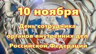 Праздничный концерт, посвящённый Дню сотрудника органов внутренних дел Российской Федерации