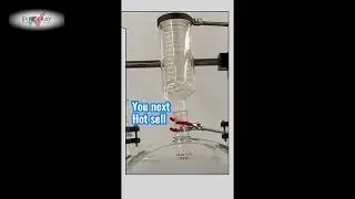 Professional Lab Glass Crystallization Filter Reactor