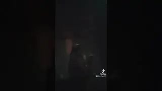 щенок Босс/ поёт/ немецкий боксер/puppy boss/ sings/ german boxer/