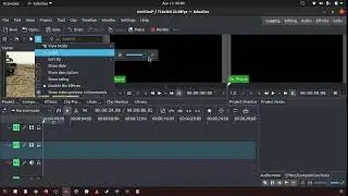 84 How to zoom in and out in the project bin