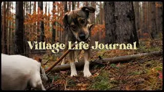 Life with two Dogs and a Cat | Village Life Journal