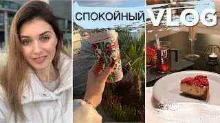ТЁПЛЫЙ  VLOG : СОЧНЫЙ ЧИЗКЕЙК, ОБЛЕПИХОВЫЙ ЧАЙ, СУП - ПОХУДЕЙКА И КАРАНТИН 😭