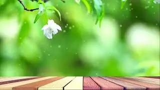 Relaxing Harp Music  Morning Music, Spa Music, Instrumental Music, Relaxing Music