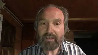 ПЧЁЛЫ Леонид Корнилов