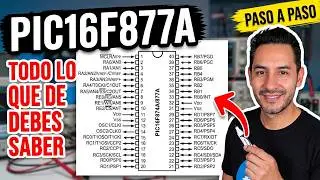 ✅INTRODUCTION TO THE PIC16F877A | EVERYTHING YOU NEED TO KNOW FOR ASSEMBLY PROGRAMMING