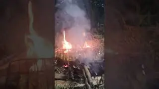 menantang mitos, bakar ikan ditengah hutan