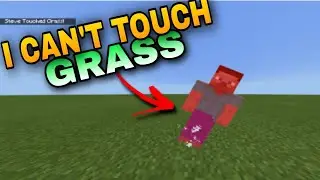 If i touch grass i die ( Minecraft ) :