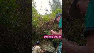 Pasang pelet untuk menarik