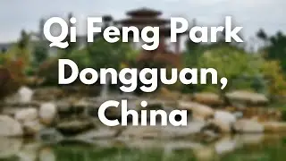 Qi Feng Park viewpoint in Donggguan, China!